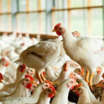 Миниатюра к 