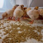 Миниатюра к 